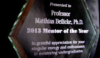 Mentor of the year 2013